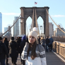 Conhecendo a Ponte do Brooklyn em NY