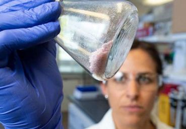 Cientistas encontraram enzima capaz de dissolver tecidos 