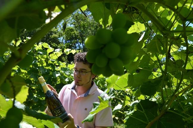 Matheus Damian conquista medalha de ouro no Wine South América