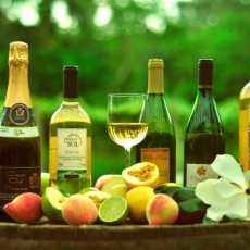 Festa do Vinho 2019. Bebida, gastronomia e filantropia 