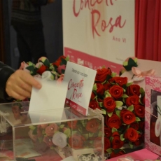 Concerto Rosa: Um momento para celebrar o amor de mãe na Unesc