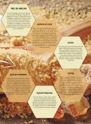 Edição 56º Abril 2019 | Página 51