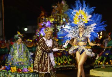 Foliões se Divertem no Carnaval do Vale do Araranguá