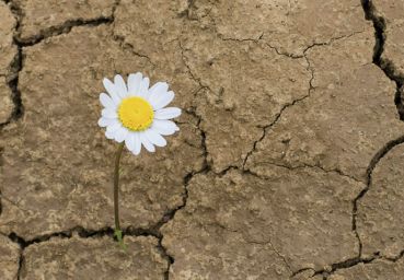 7 motivos para não desistir de seus objetivos