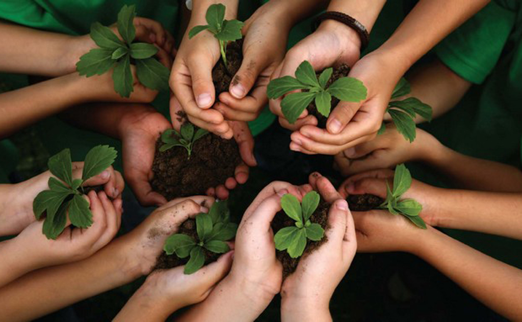 Um dia de diversão, conscientização e preservação ambiental   