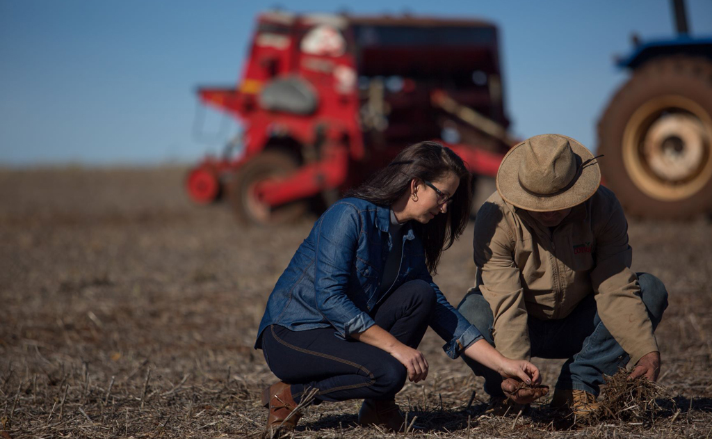 Instituição Financeira Cooperativa lidera operações de fomento ao agronegócio no novo ciclo agropecuário