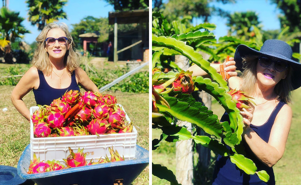 Com o apoio e orientação do marido, empresária cultiva a fruta