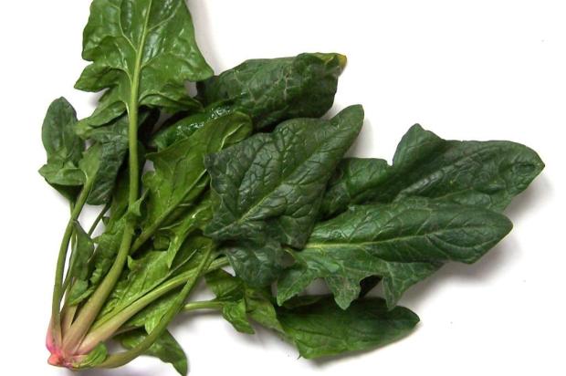 Antioxidantes e anti-inflamatórios colaboram para reduzir o incômodo